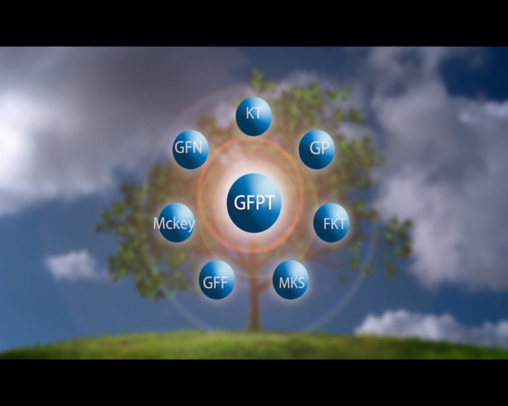 GFPT 02