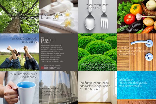 BROCHURE 02