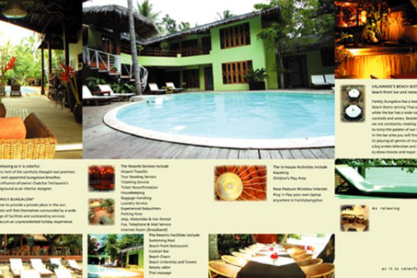 BROCHURE 06