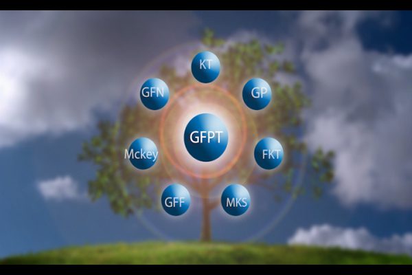 GFPT 02